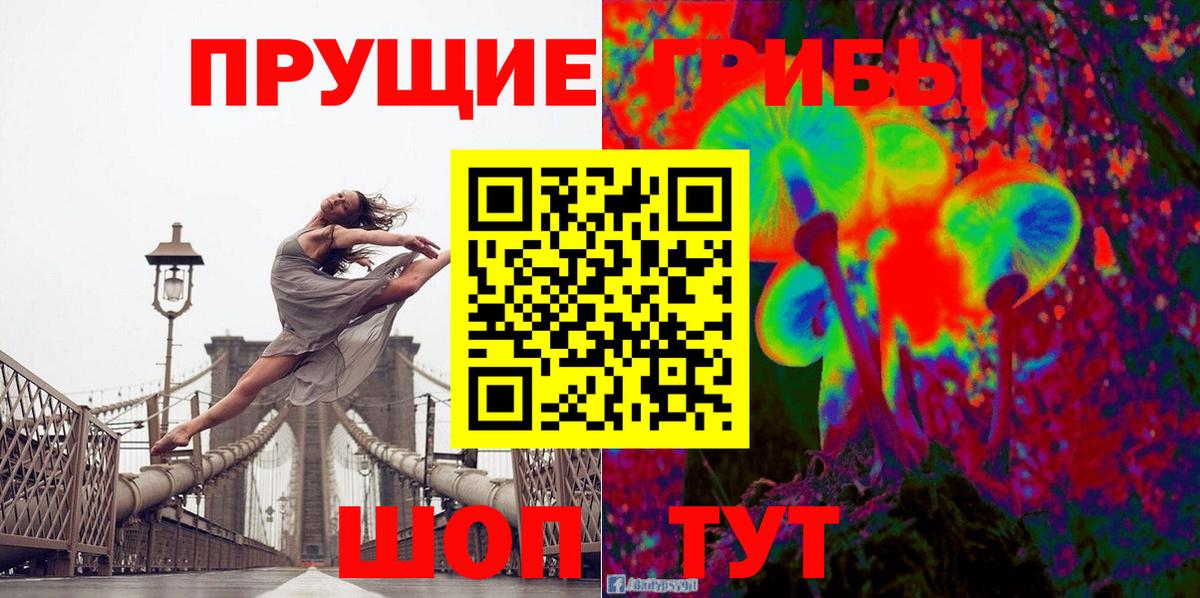 Богородицк  Псилоцибиновые грибы мицелий  Вход с VPN 